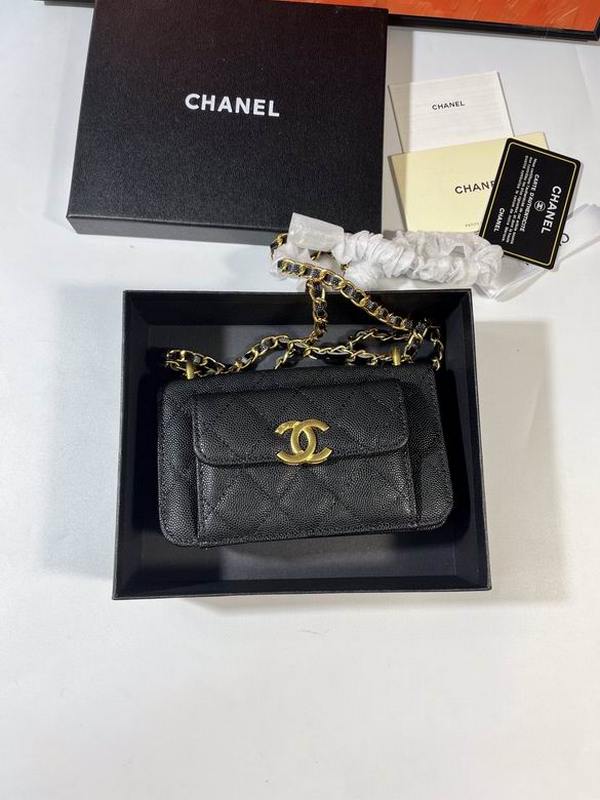 Chanel Handbags 15